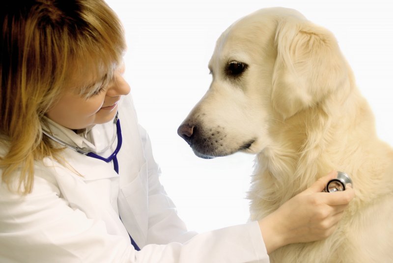 Medicinali veterinari ad azione antiparassitaria